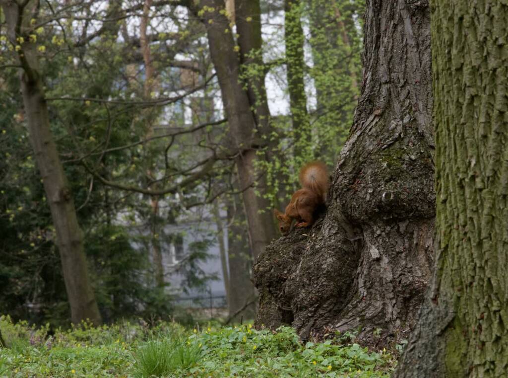 22.06.2025 Podróże małe i duże 1 2c05afa1 4045 41c0 8cdb a166cd2a1281 2025 06 21 133308