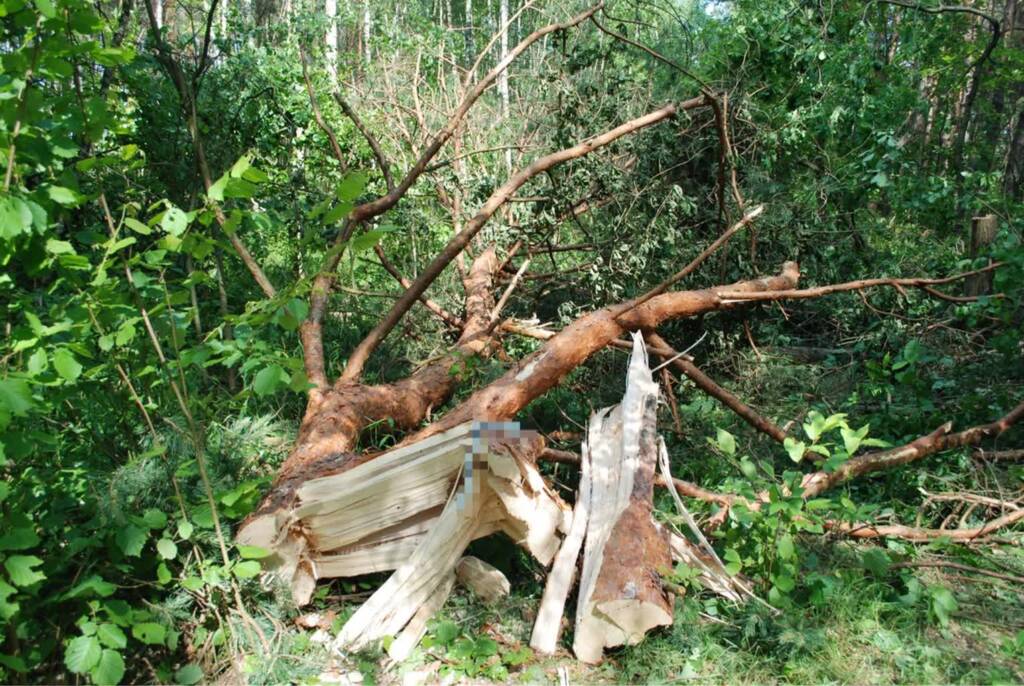 340 268290 2025 06 11 112804