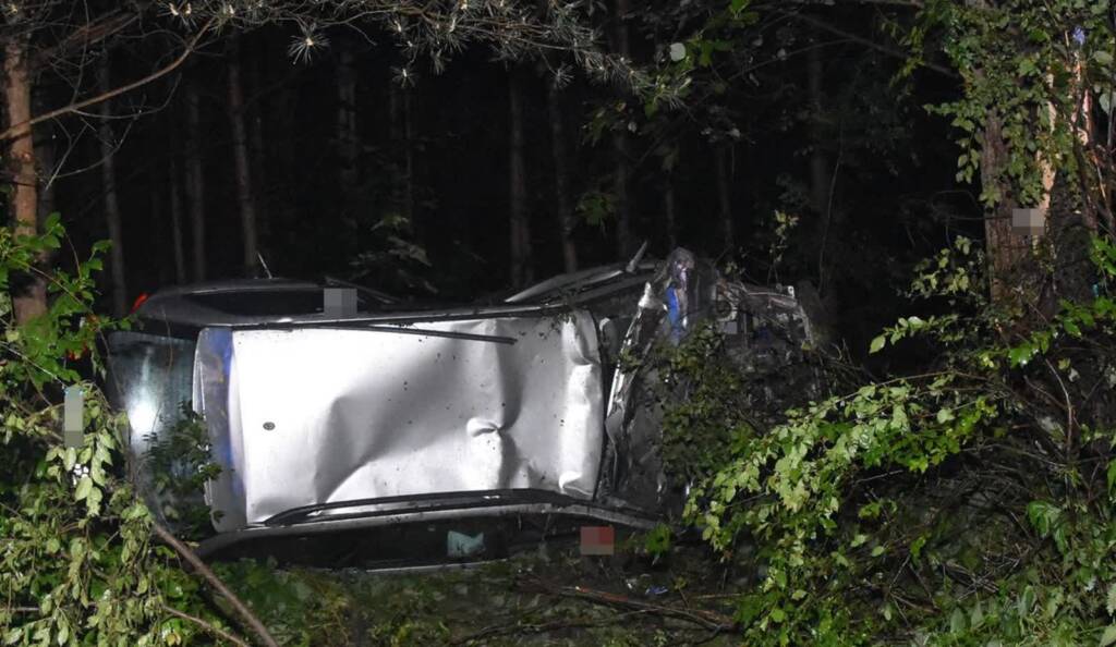 344 268102 2025 06 10 084430