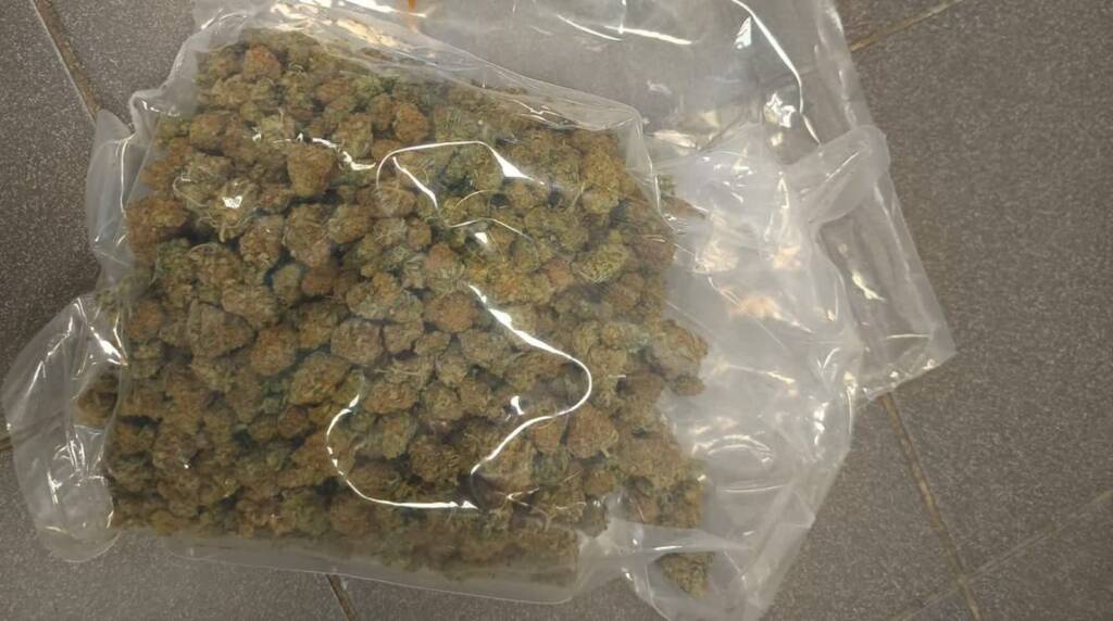 Wpadli przez psi nos. Grozi im więzienie 3 350 267811 2025 06 03 203438