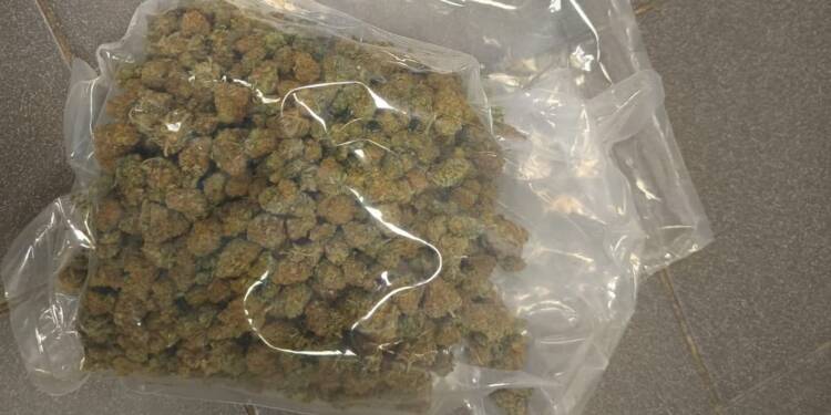 Wpadli przez psi nos. Grozi im więzienie 1 350 267811 2025 06 03 203438