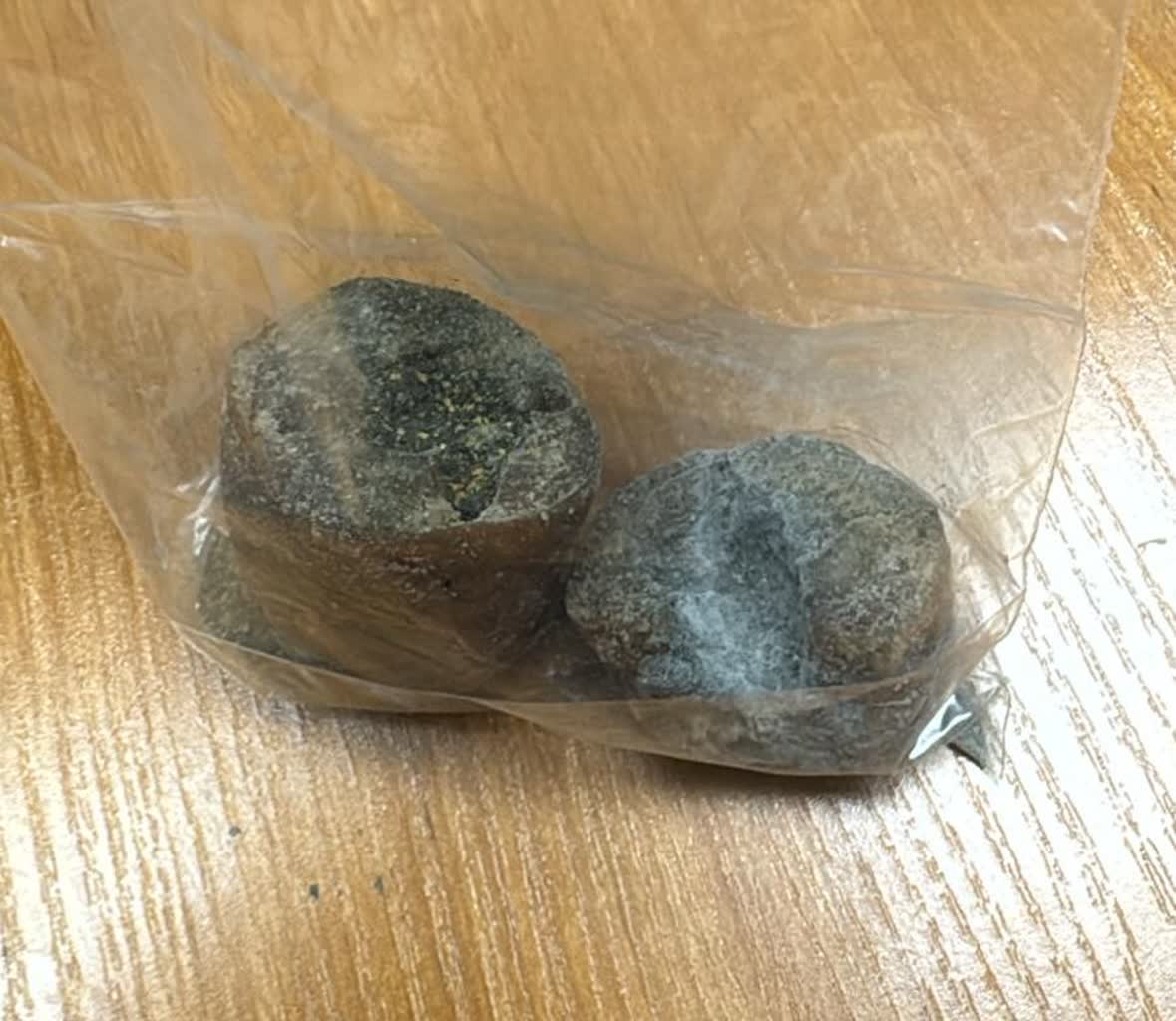 Chciał otruć psy sąsiada. 46-latek zatrzymany 2 350-268633.jpg