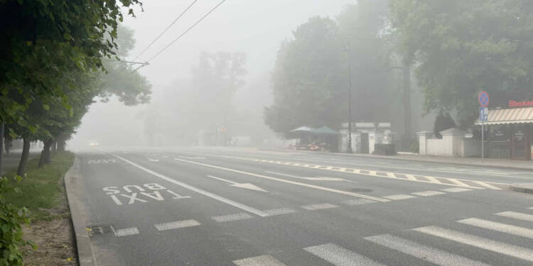 403362f9 fb50 40fa 98a5 fcbdace9305d 2025 06 04 062402