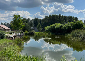 489337875 1469906121073736 7318949108609861421 n 2025 06 27 144716