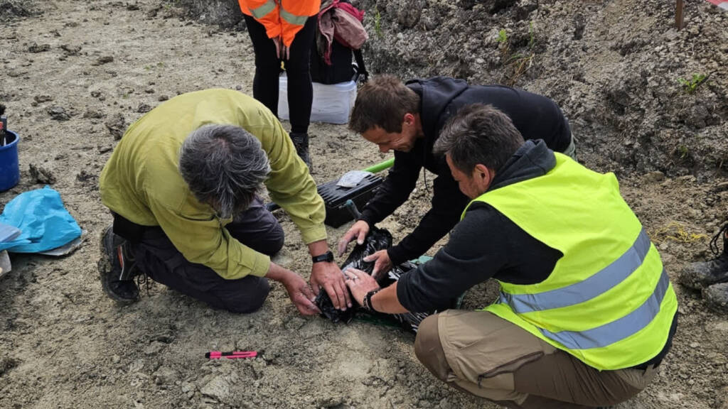 493709834 1184408320397573 5914982827735802728 n 2025 06 13 165745