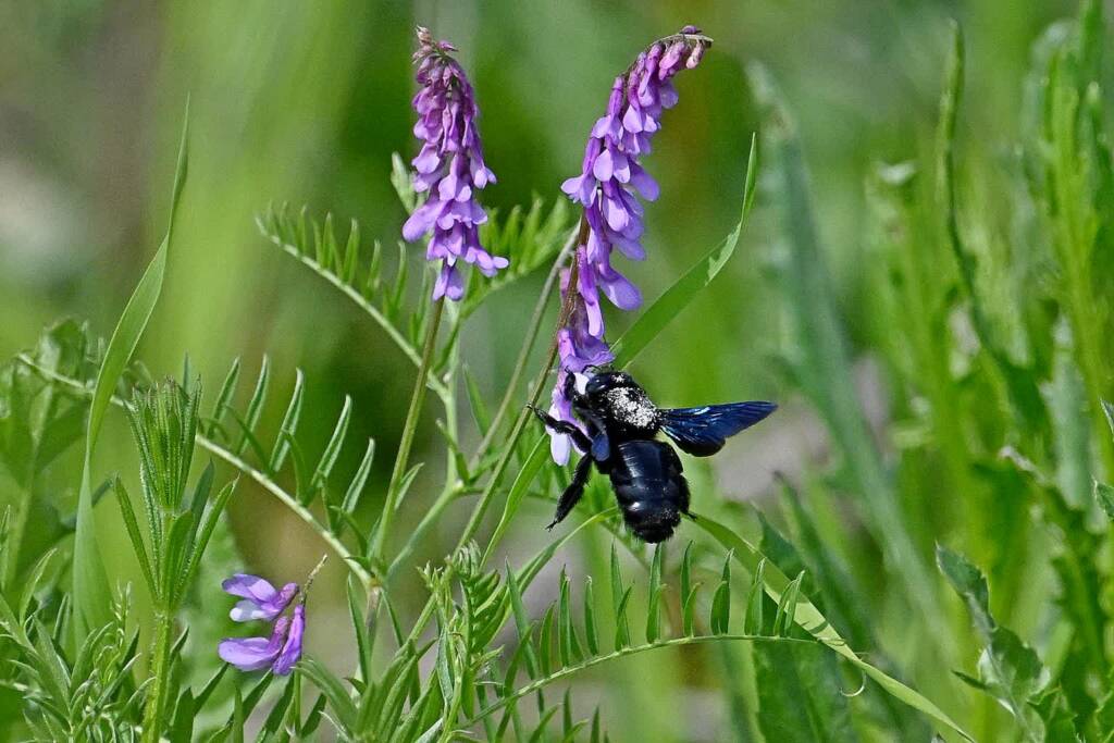 502587285 1030529632517951 6029014748572190478 n 2025 06 04 100042