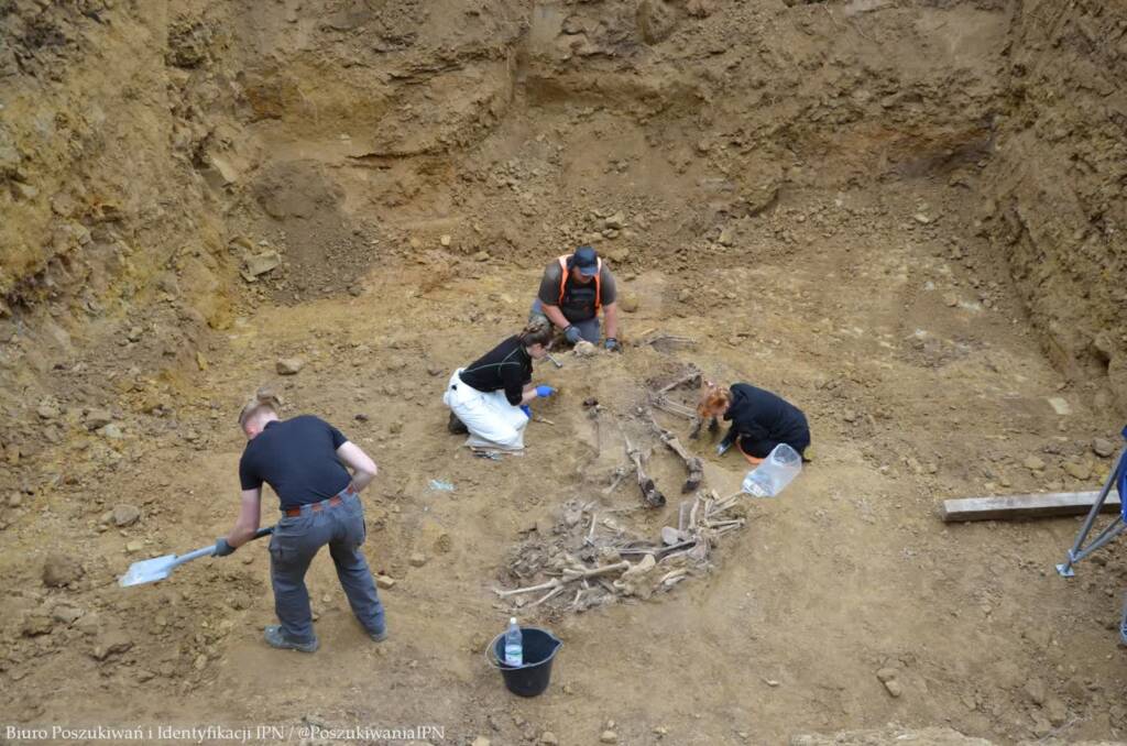 Kolejne szczątki ofiar terroru niemieckiego odkryte na Górkach Czechowskich 1 502896620 1134917791996686 5572026705325649829 n 2025 06 04 084430