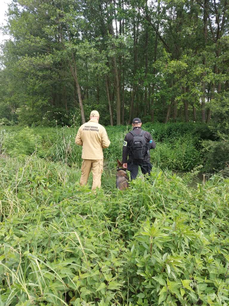 Tragiczny finał poszukiwań zaginionego 85-latka 2 504432789_666024553110428_746683685326468741_n.jpg