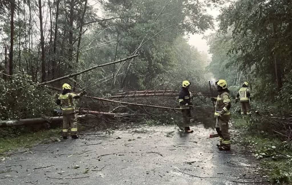 504793562 1031321792465210 3416626103156750310 n 2025 06 06 063642 2025 06 06 154019