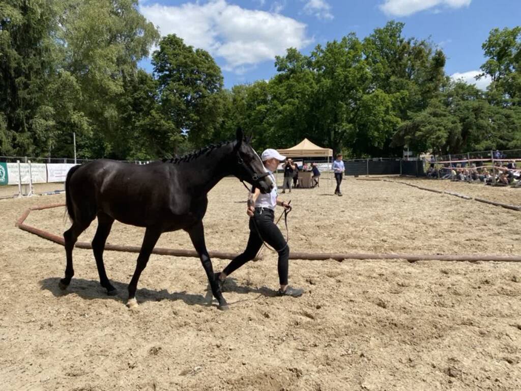 506059859 1099214302255968 2964677144118640105 n 2025 06 14 170549