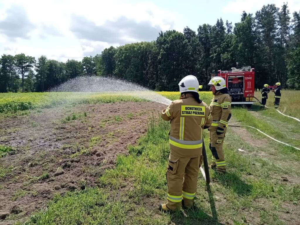 507775106 1027862789529447 8943908607702432655 n 2025 06 17 162719