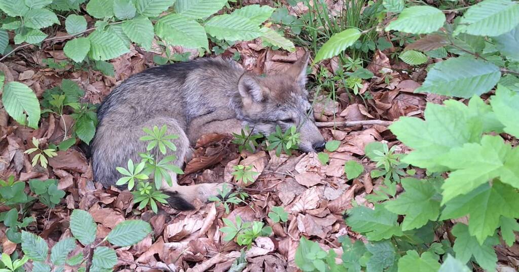 511396778 1045682821002632 4117691405893619045 n 2025 06 24 102726