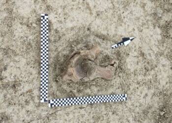 712886ec 448f 4252 9d88 f7b089450826 2025 06 12 193609 2025 06 13 144610