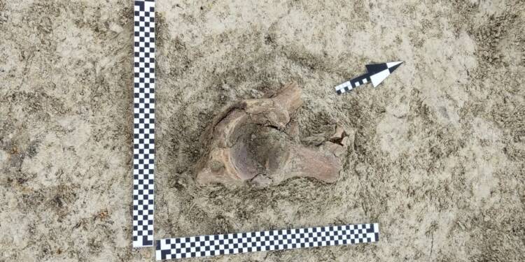 712886ec 448f 4252 9d88 f7b089450826 2025 06 12 193609 2025 06 13 144610