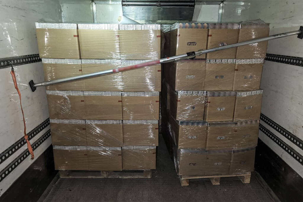 article 3 2025 06 24 203928