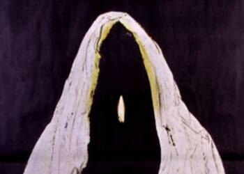 austeria1 2025 06 06 185727