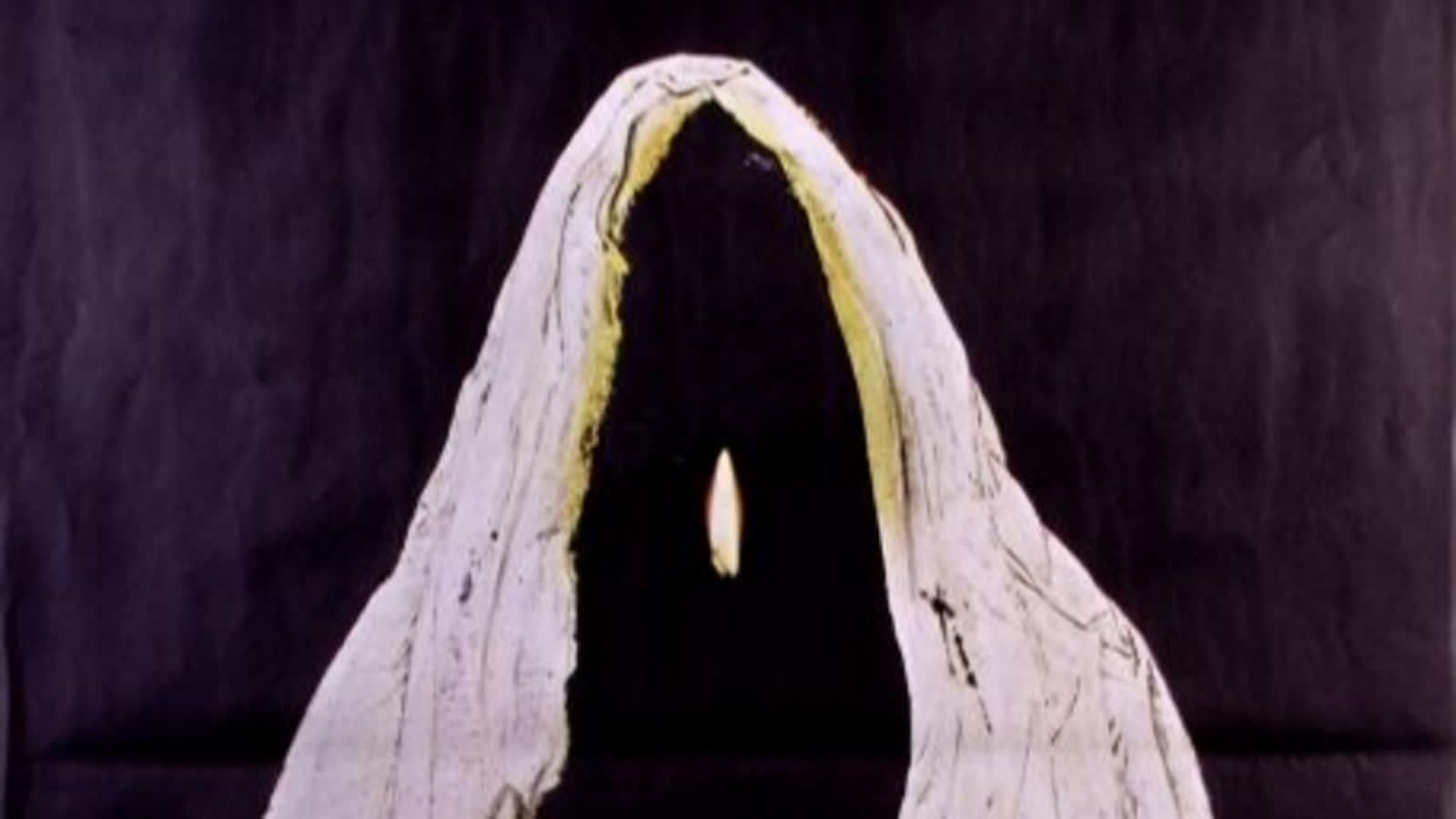 06.06.2025 Radiowa Akademia Filmowa