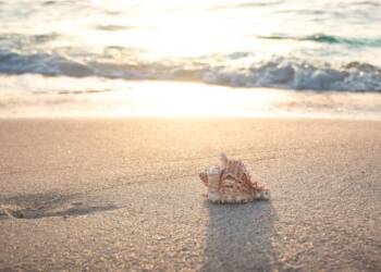 beach 4301479 1280 2025 06 16 071316