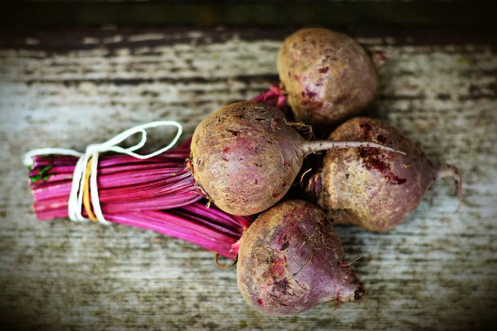 beetroot 3490809 1280 2025 06 16 074216