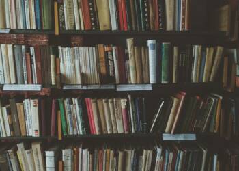 bookcases 1869616 1280 2025 06 13 105443