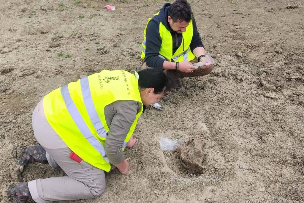 d1864180 ed08 499b a48f bcce1a72a680 2025 06 12 193613