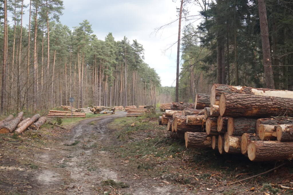 dsc03549 2024 04 06 214224 2025 06 20 074146