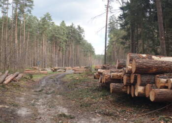 dsc03549 2024 04 06 214224 2025 06 20 074146