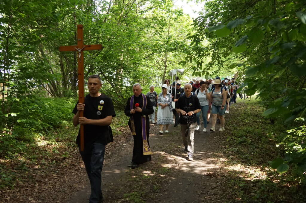 dsc04734 2025 06 08 095703