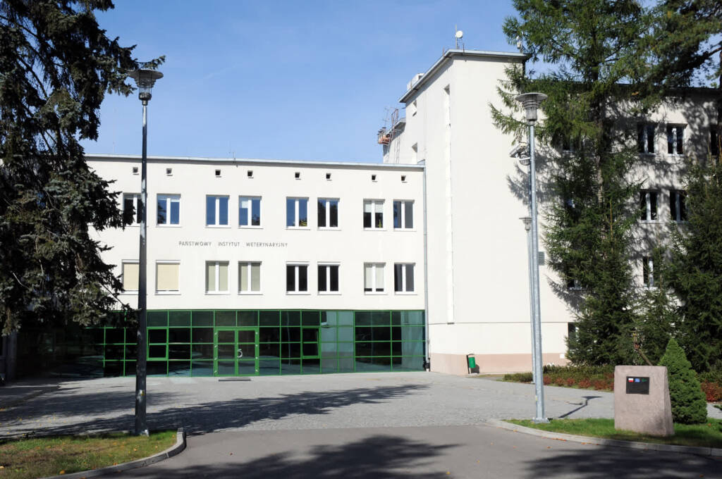 dsc 1357 2025 06 06 145311