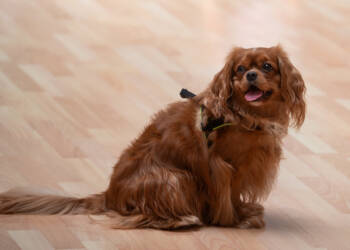 dsc 8589 2025 06 02 152249