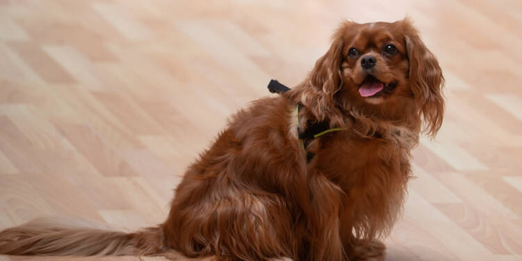 dsc 8589 2025 06 02 152249