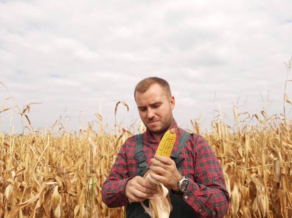 13.06.2025 Agrobiznes - o premii dla młodych rolników 1 farmer 4550908 1280 2025 06 12 200626