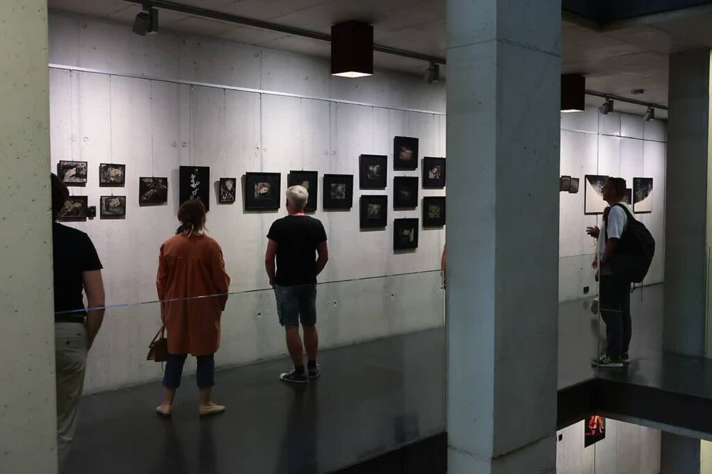 foto 060625 008 2025 06 06 201847