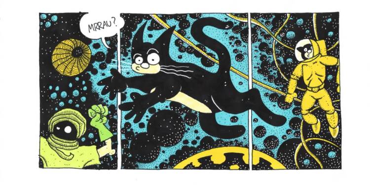 halko7.jpgwww 2025 06 27 083848