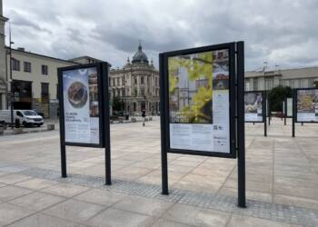 image00040 2025 06 28 151839