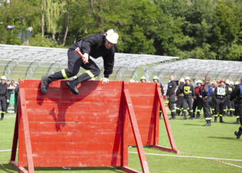 img 0255 2025 06 29 181346