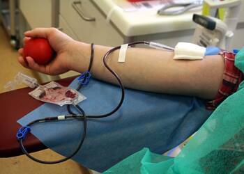 img 0604 2024 04 09 082114 2025 06 25 152431