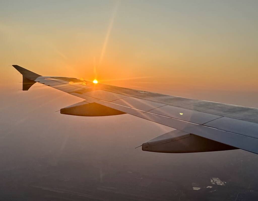 img 0696 2025 06 05 152541