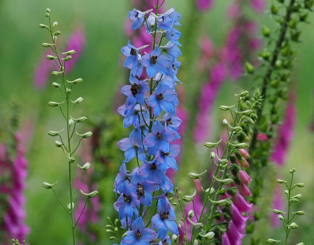 img 20200620 200004 2025 06 21 131342