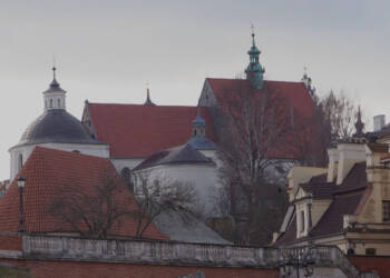 img 20220206 114813 2025 06 24 190604