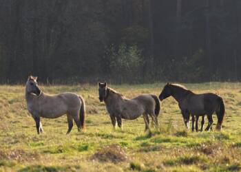 img 20221102 190459 2025 06 20 123844