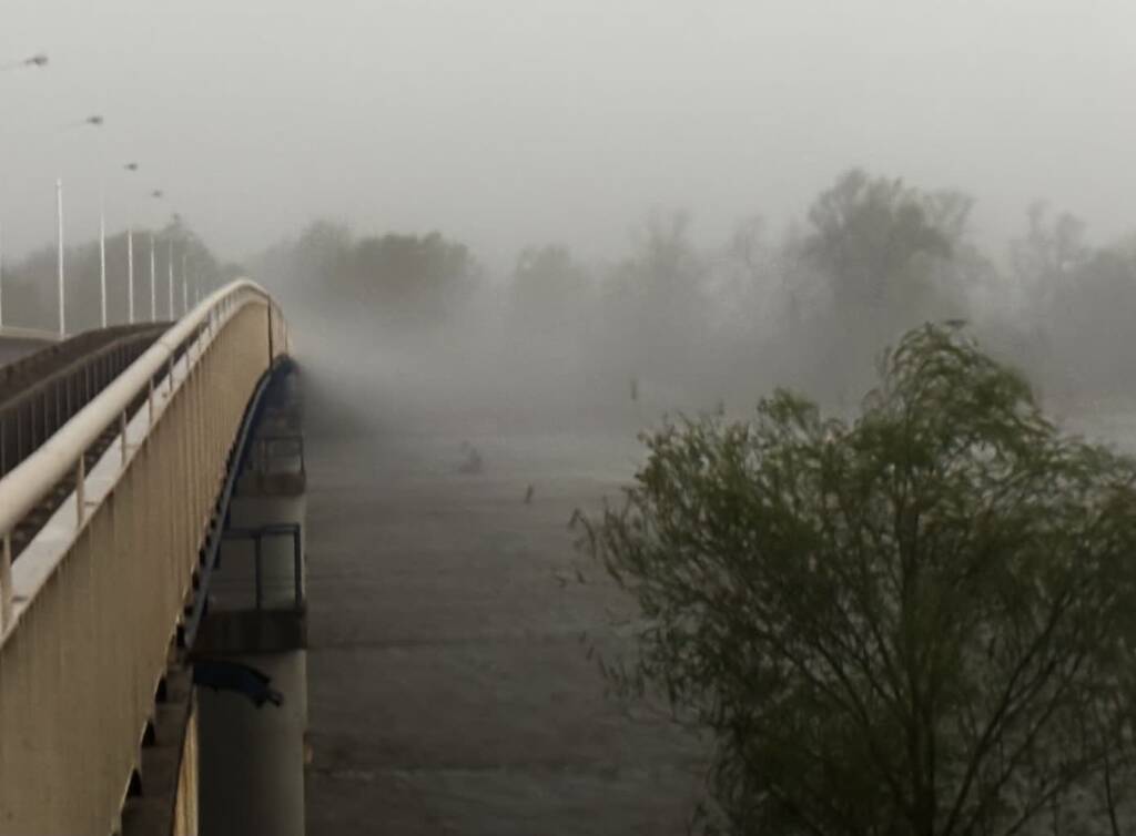 img 4466 2025 06 08 104603