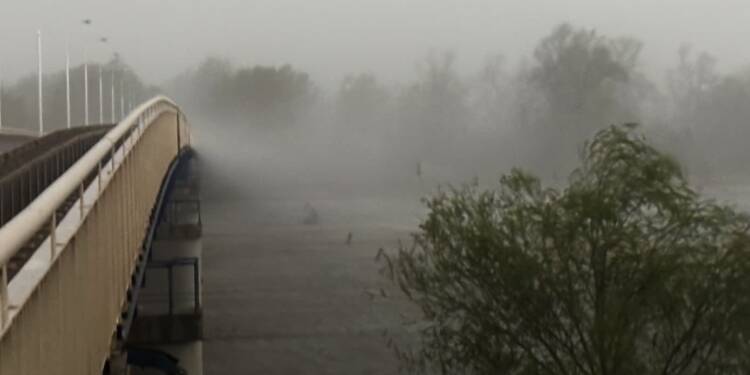 img 4466 2025 06 08 104603