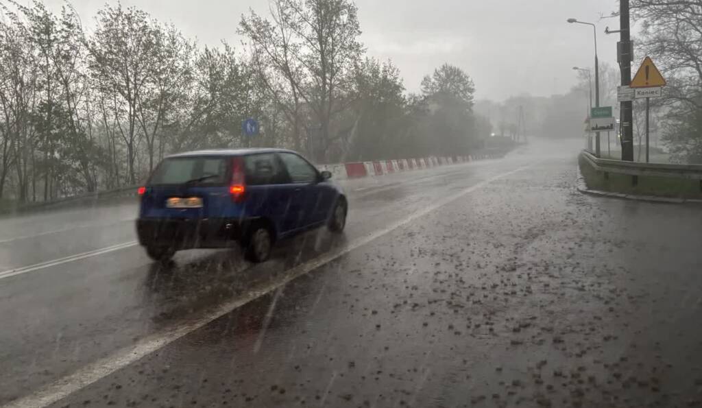 img 4514 2025 05 03 074750 2025 06 03 071811