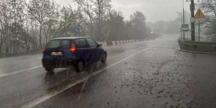 img 4514 2025 05 03 074750 2025 06 03 071811