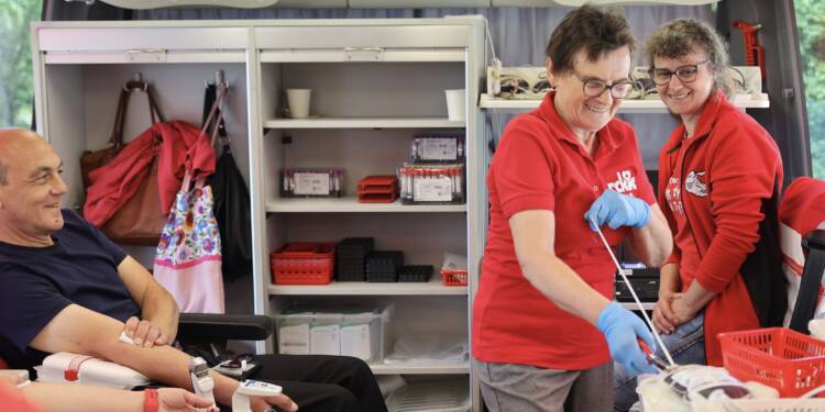 img 7779 2025 06 16 061854