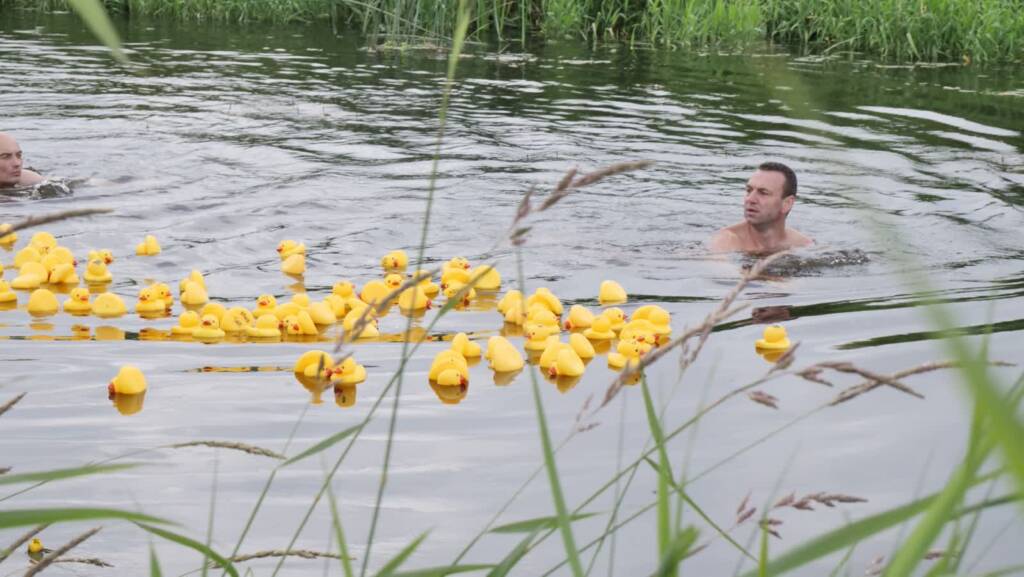 kaczki 2025 06 21 170411