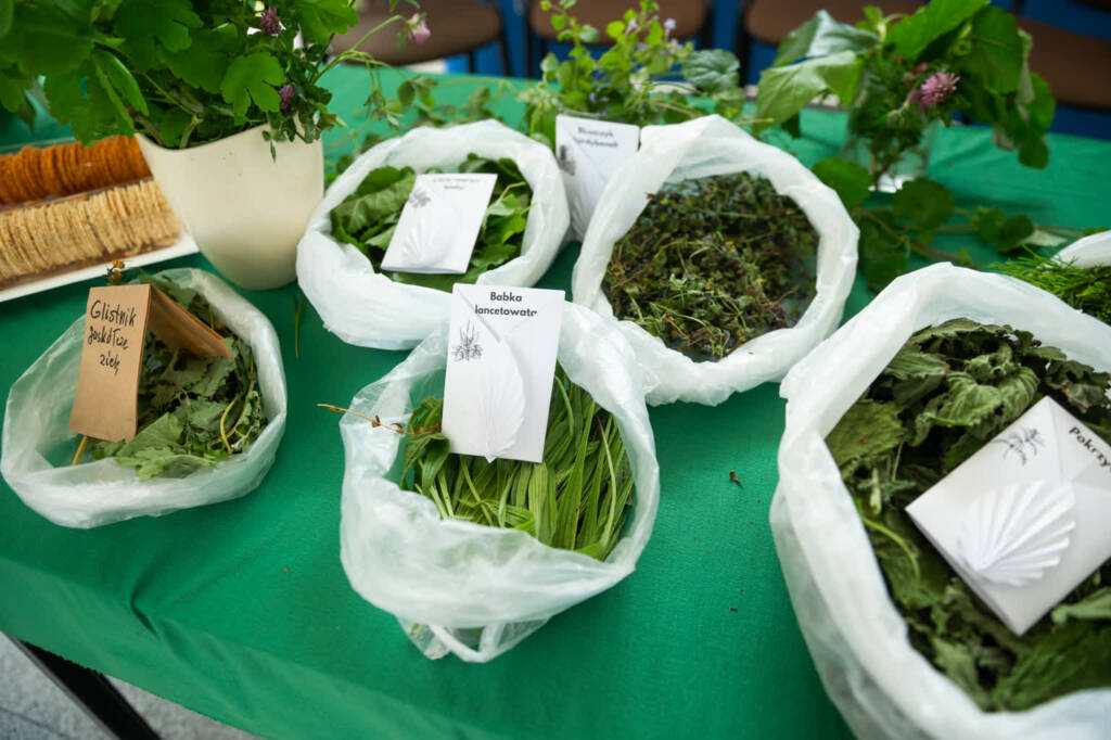 kra19 2025 06 05 143759