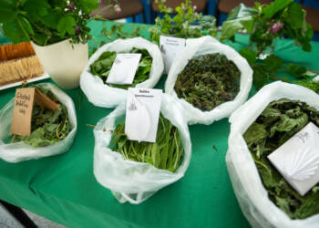 kra19 2025 06 05 143759