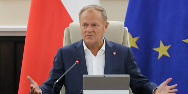 mid 25603175 2025 06 03 123451